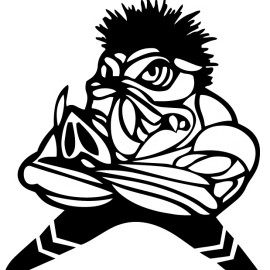 Ourimbah Razorbacks 