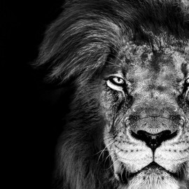 South Perth rugby league 