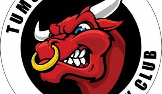 tumut bulls
