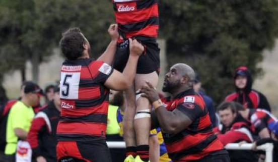 Tumut Bulls Rugby Club