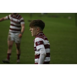 Harry