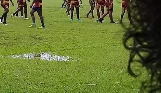 Ponijese bulai 