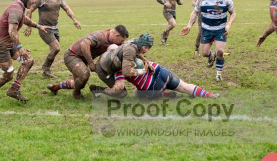 Archie cleeve 