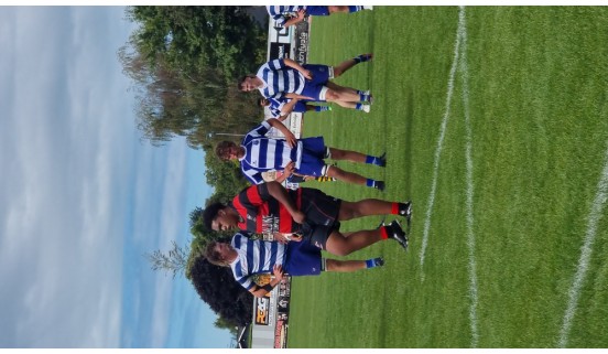Salesi Tatafu