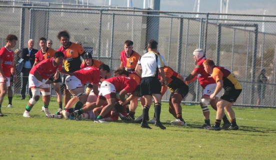 Grecia McNamara-Taele